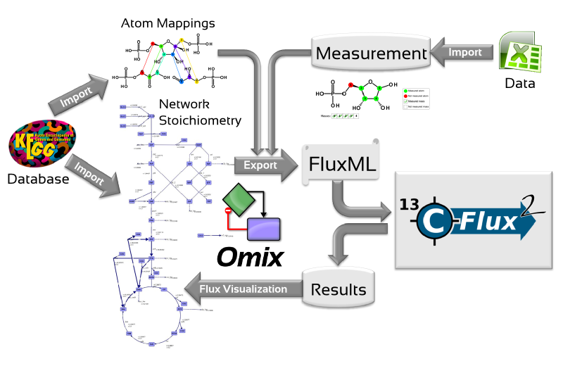 13CFLUX2 Plug-Ins