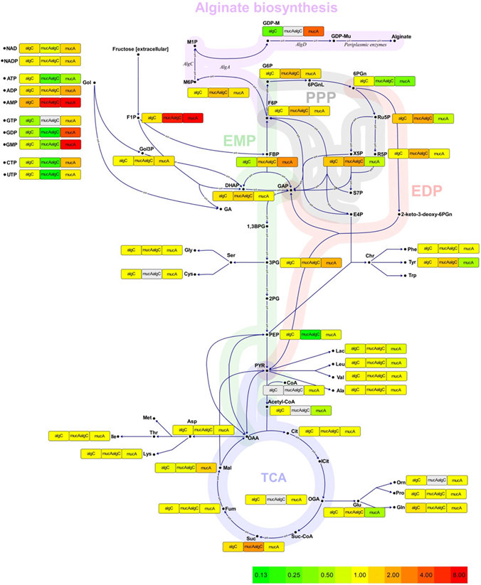 Metabolome Visualization with Accessories