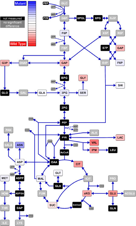 Comparative Visualization of Metabolome Data